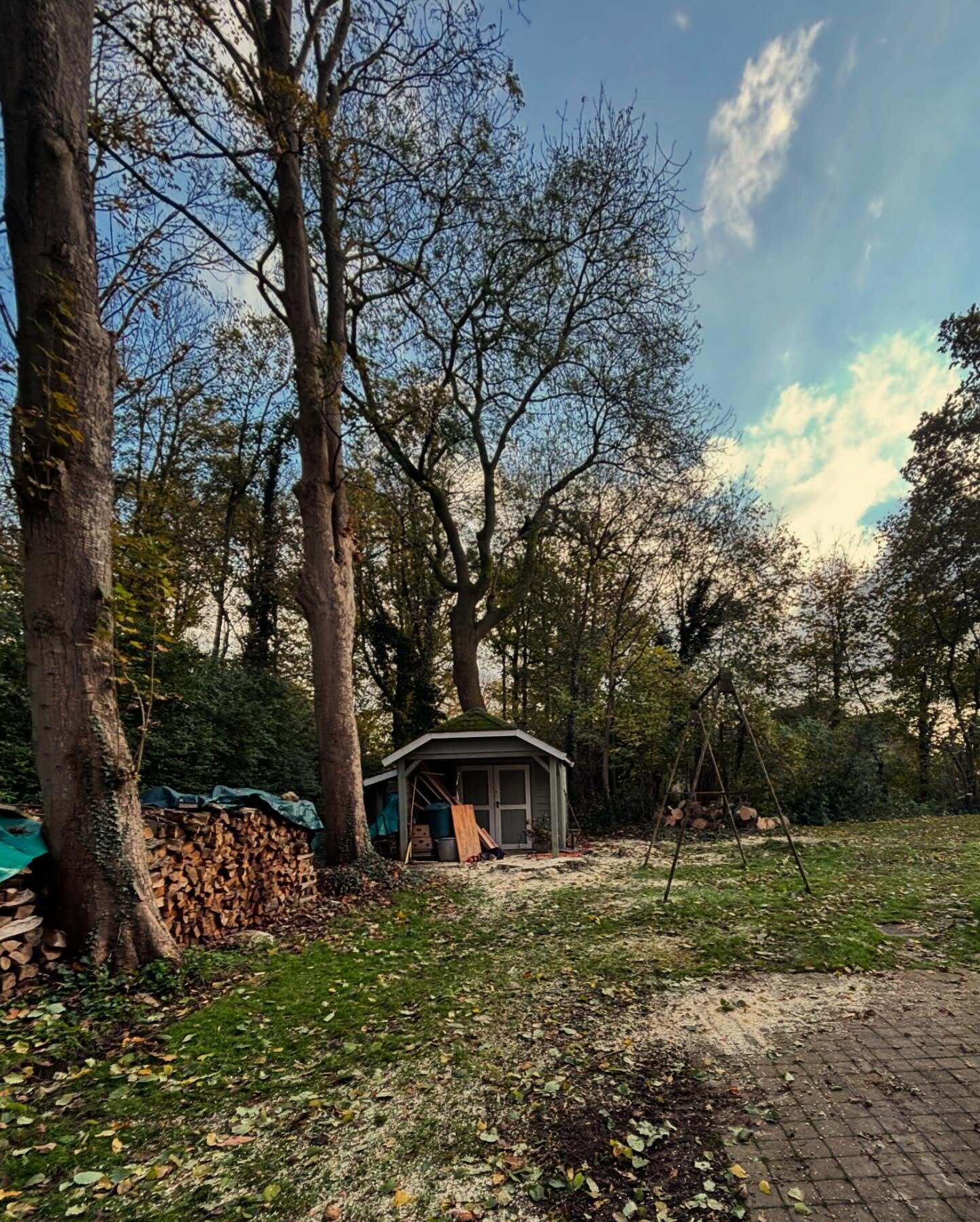 Entretien d'un jardin arboré